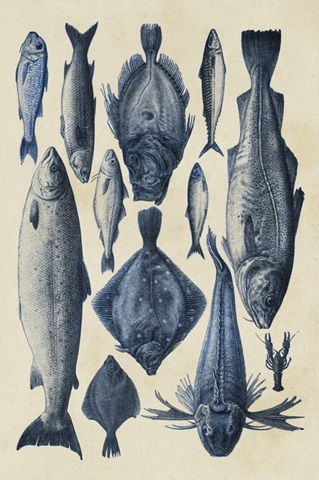 Blue Fish Chart I