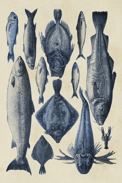 Blue Fish Chart I