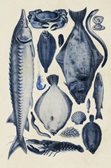 Blue Fish Chart II