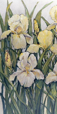 Blooming Irises I