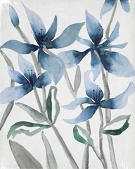 *Veil Of Midnight Flora II