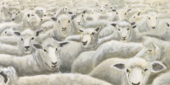 Herd Mentality