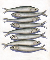 Stacked Anchovy I