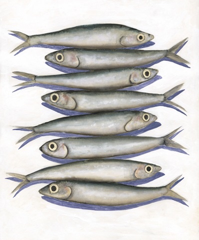 Stacked Anchovy I