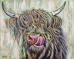 Highland Cow Licking I