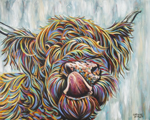 Highland Cow Licking II