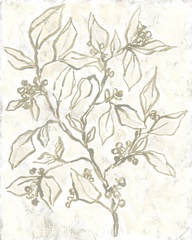 *Winter Branch Sketch I