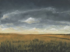 Stormy Meadow I