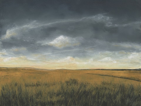 Stormy Meadow I