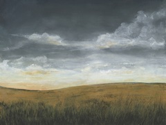 Stormy Meadow II