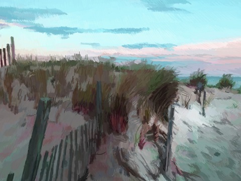 Dunes Horizon at Dusk II