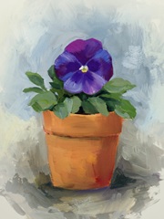 Potted Pansy Study I