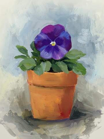 Potted Pansy Study I