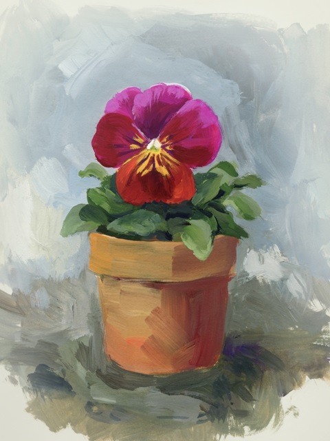 Potted Pansy Study II