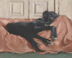 Traditional Canine Portrait III