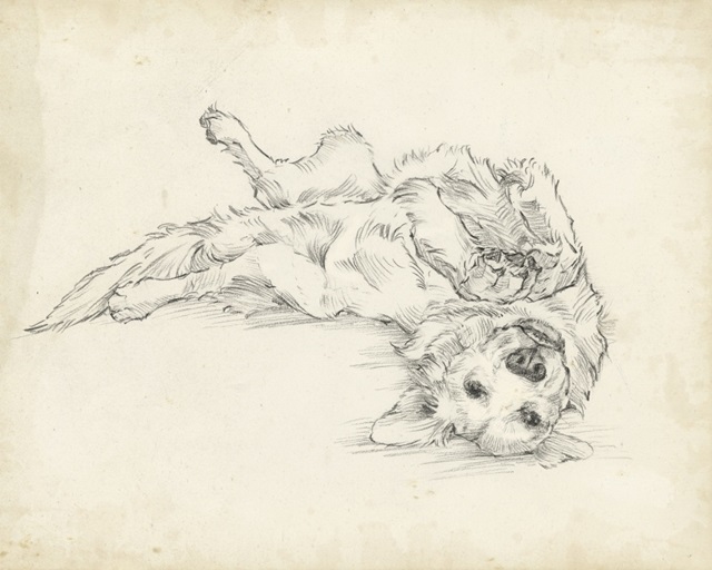 Antique Dog Sketch I