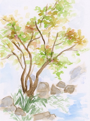 Maymont Garden Sketches I