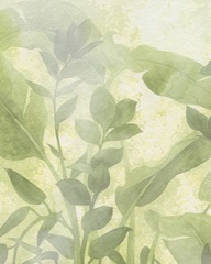 Beneath the Canopy I