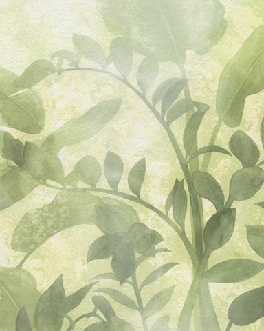 Beneath the Canopy II