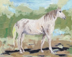 A Quiet Gallop II