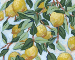 Sunshine Citrus II