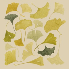 Paper Gingko I