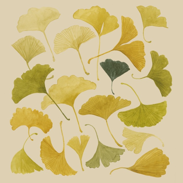 Paper Gingko II