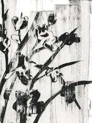 Woodcut Magnolias II