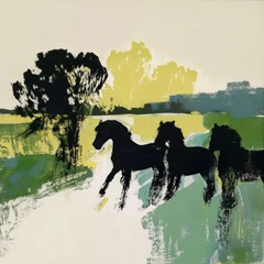 Fields of Freedom I