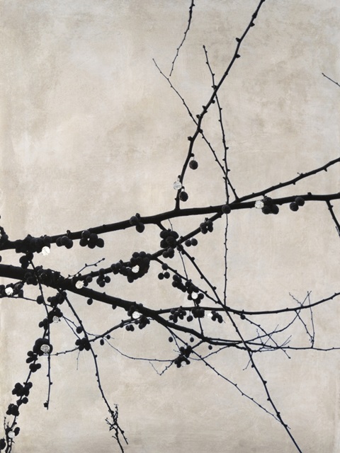 Growth Structure II