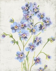 Mountain Blossoms II