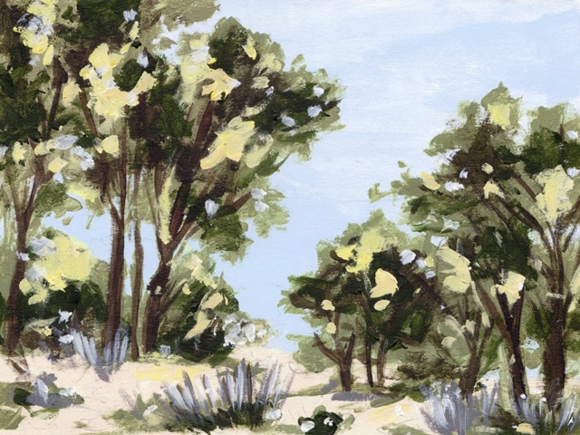 Amber Canopy I