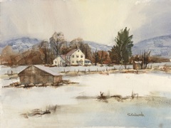 Somer's Court Snow Cover on Valley