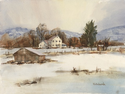 Somer's Court Snow Cover on Valley