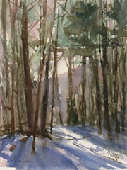 Light Through the Trees