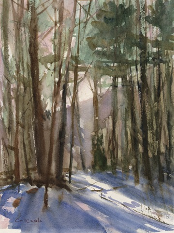 Light Through the Trees