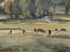 Grazing Cows