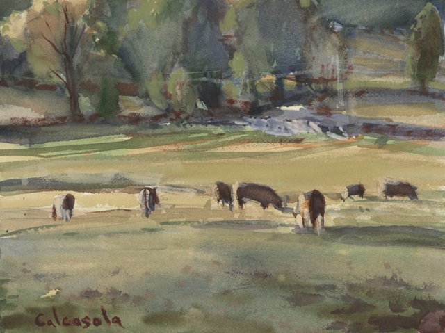 Grazing Cows