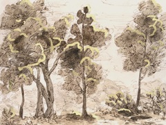 Tranquil Passage II