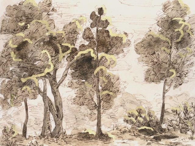 Tranquil Passage II
