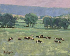 Somers Cows I