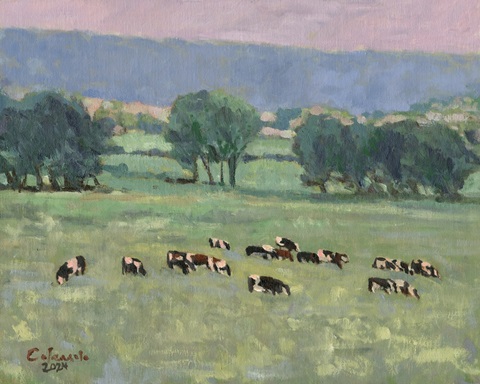 Somers Cows I