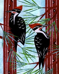 Wilderness Collage VII