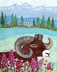 Wilderness Collage XV