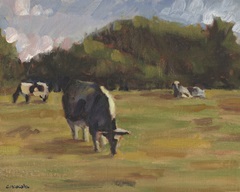 Resting Cows I