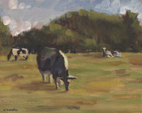 Resting Cows I