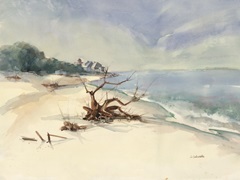 Rhode Island Driftwood I