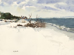 Rhode Island Driftwood II
