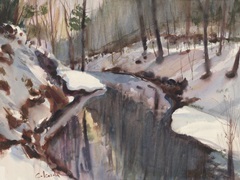 Winter Stream Reflections