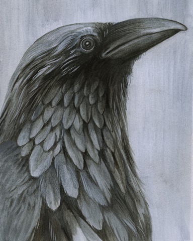 Consider the Raven I